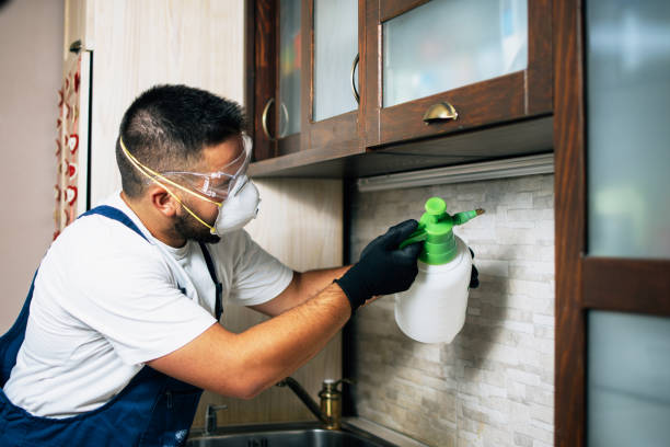 Best Pest Inspection Near Me  in Elwood, NY
