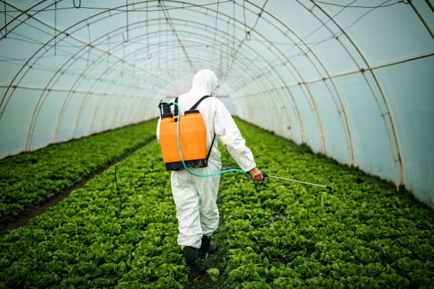 Best Pest Control Near Me  in Elwood, NY