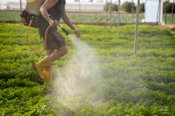 Best Mosquito Control Services  in Elwood, NY